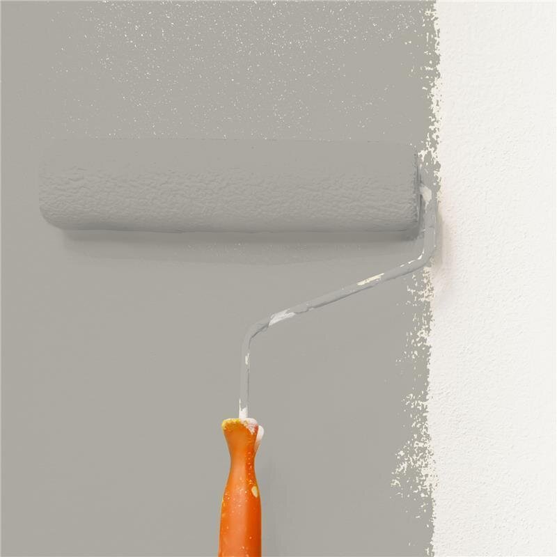 Wandfarbe Matt NCS-S-3502-Y20R Profi Qualität für Innen