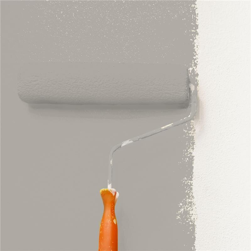 Wandfarbe Matt NCS-S-3502-Y50R Profi Qualität für Innen