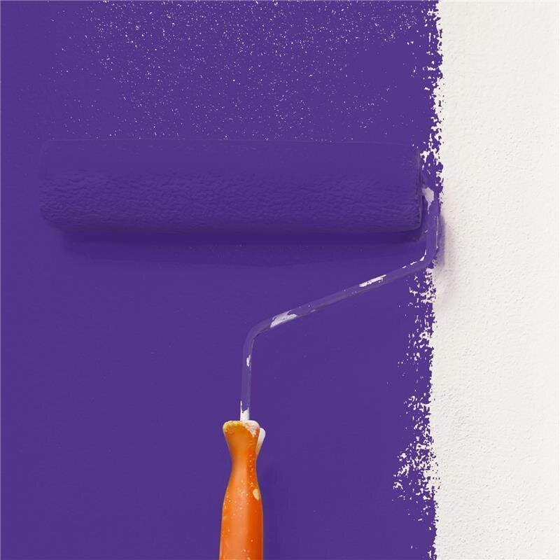 Wandfarbe Matt NCS-S-3555-R60B Profi Qualität für Innen