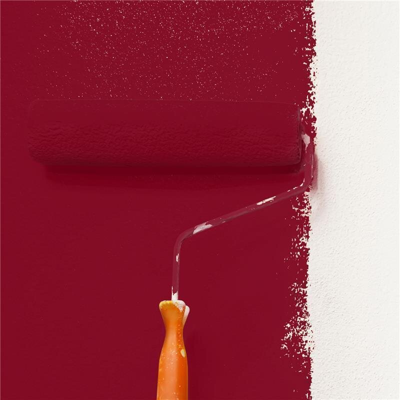 Wandfarbe Matt NCS-S-3560-R Profi Qualität für Innen