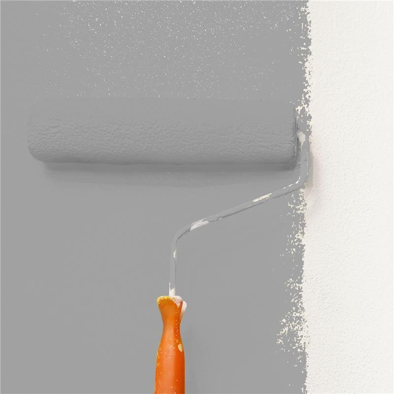 Wandfarbe Matt NCS-S-4000-N Profi Qualität für Innen