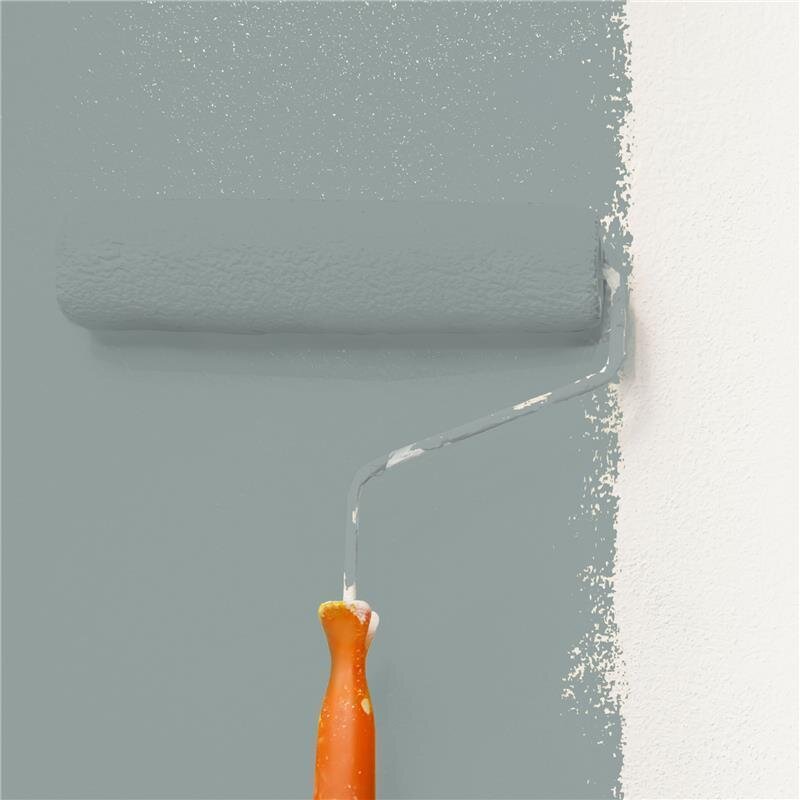 Wandfarbe Matt NCS-S-4005-B80G Profi Qualität für Innen