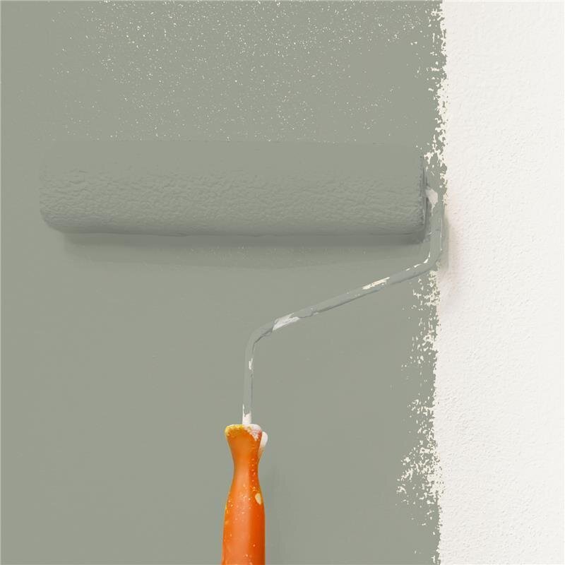 Wandfarbe Matt NCS-S-4005-G50Y Profi Qualität für Innen