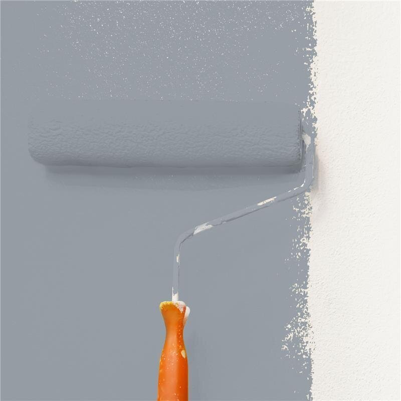 Wandfarbe Matt NCS-S-4005-R80B Profi Qualität für Innen