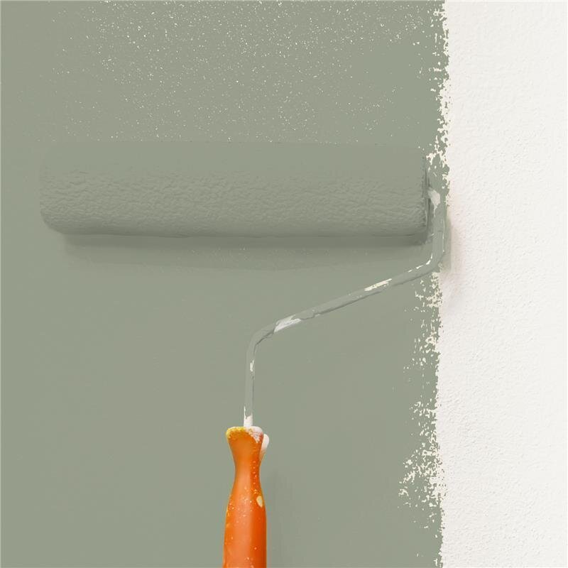 Wandfarbe Matt NCS-S-4010-G50Y Profi Qualität für Innen
