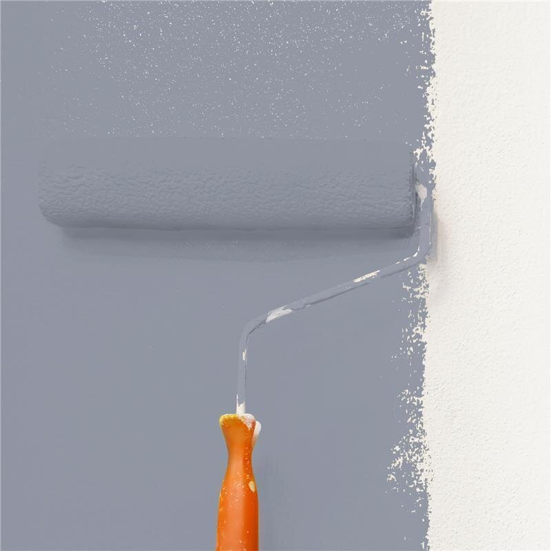 Wandfarbe Matt NCS-S-4010-R70B Profi Qualität für Innen