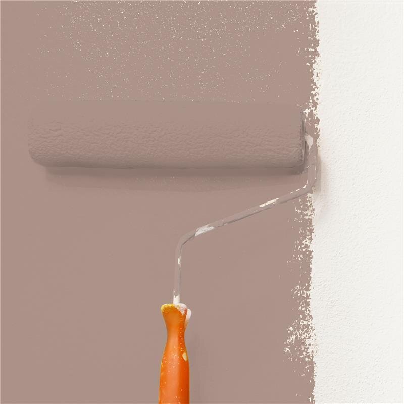 Wandfarbe Matt NCS-S-4010-Y70R Profi Qualität für Innen