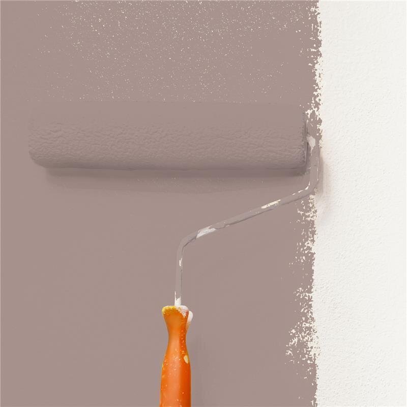 Wandfarbe Matt NCS-S-4010-Y90R Profi Qualität für Innen