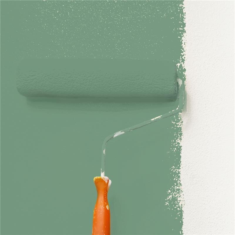 Wandfarbe Matt NCS-S-4020-G10Y Profi Qualität für Innen