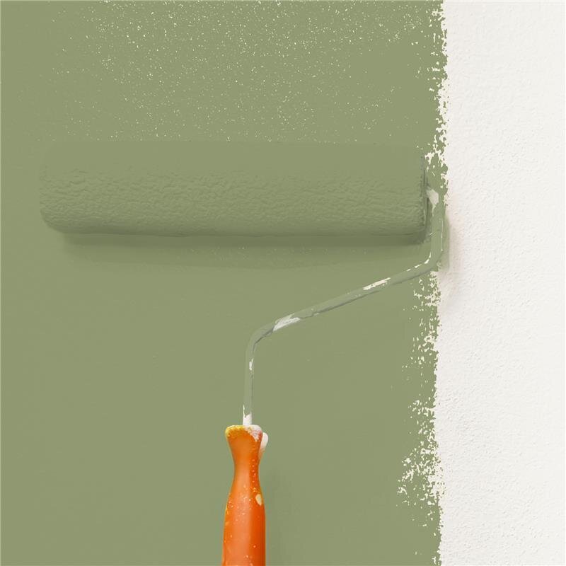 Wandfarbe Matt NCS-S-4020-G50Y Profi Qualität für Innen