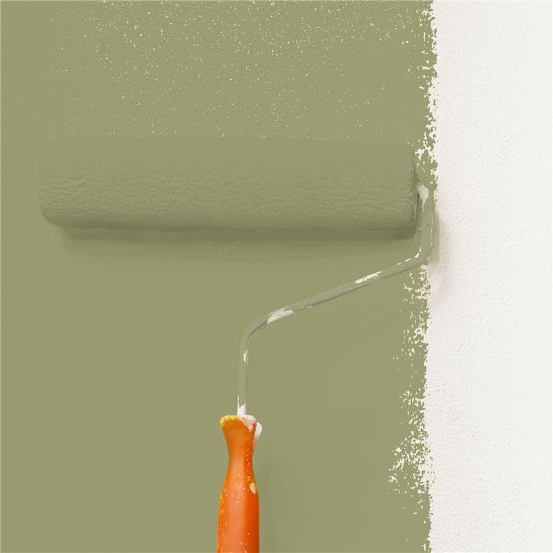 Wandfarbe Matt NCS-S-4020-G70Y Profi Qualität für Innen