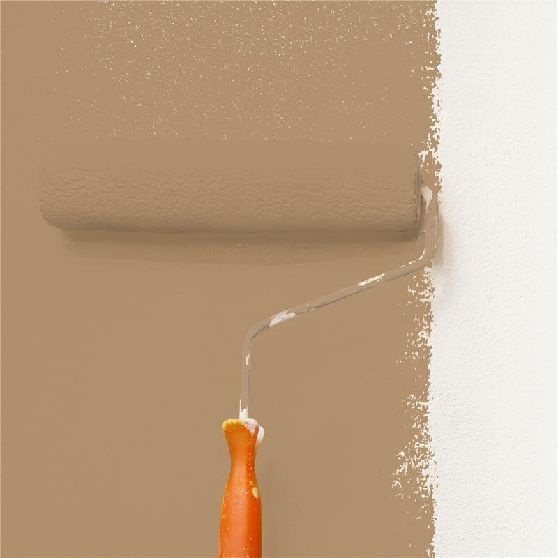 Wandfarbe Matt NCS-S-4020-Y30R Profi Qualität für Innen