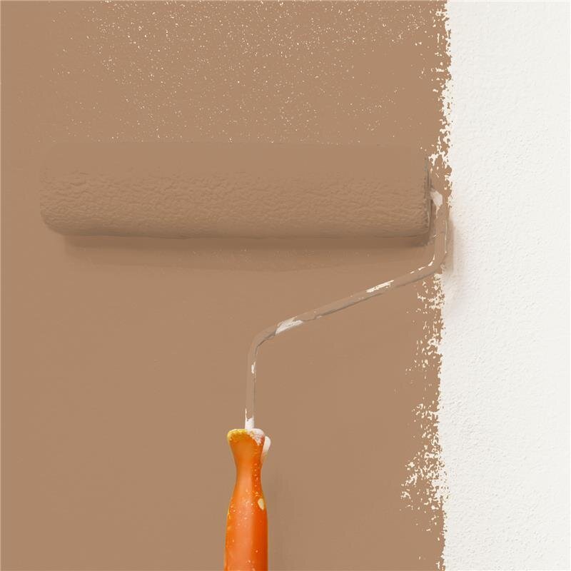 Wandfarbe Matt NCS-S-4020-Y40R Profi Qualität für Innen
