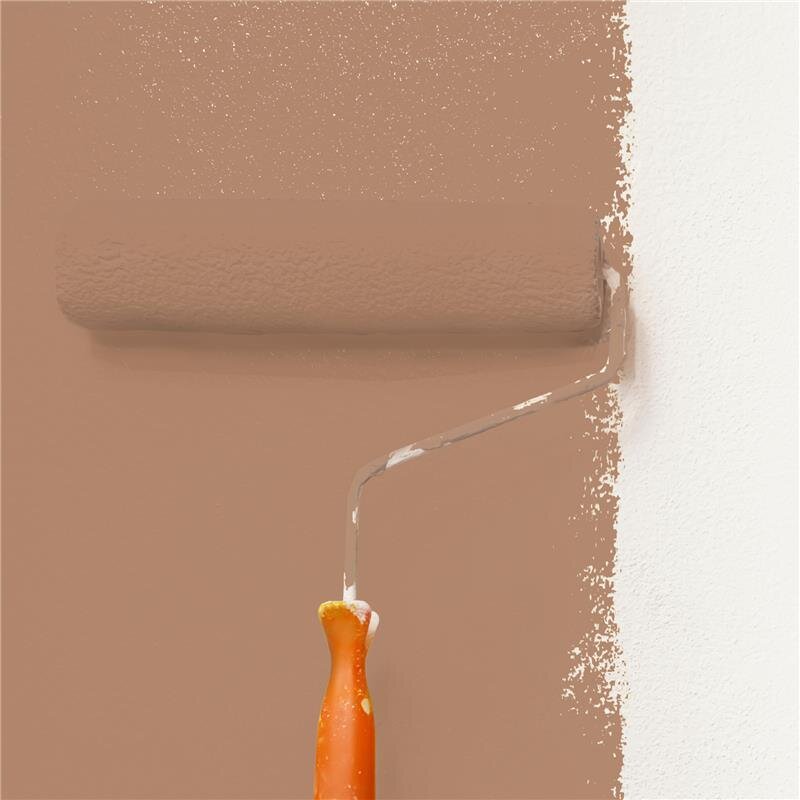 Wandfarbe Matt NCS-S-4020-Y50R Profi Qualität für Innen