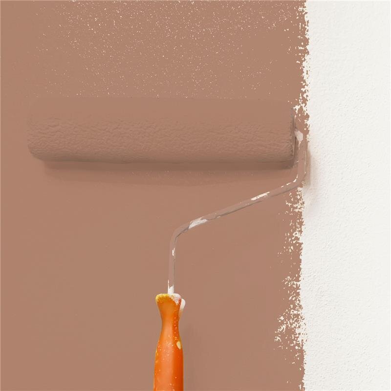 Wandfarbe Matt NCS-S-4020-Y60R Profi Qualität für Innen