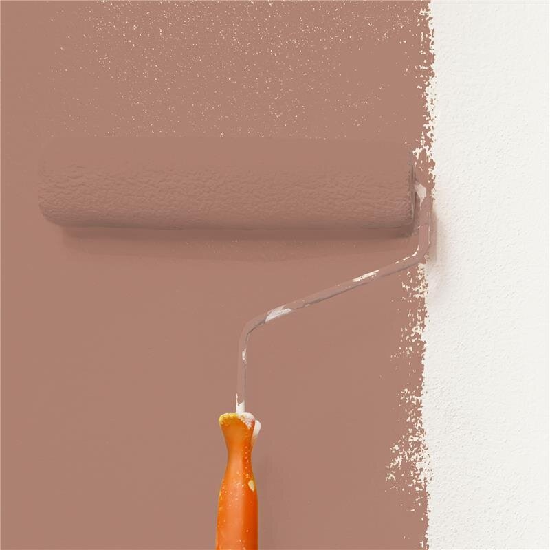 Wandfarbe Matt NCS-S-4020-Y70R Profi Qualität für Innen