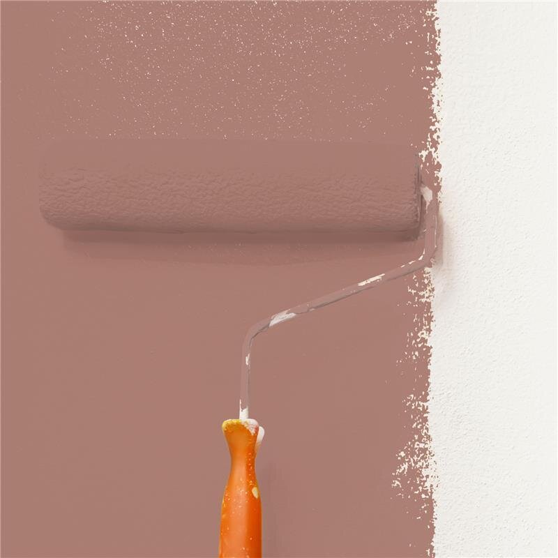 Wandfarbe Matt NCS-S-4020-Y80R Profi Qualität für Innen