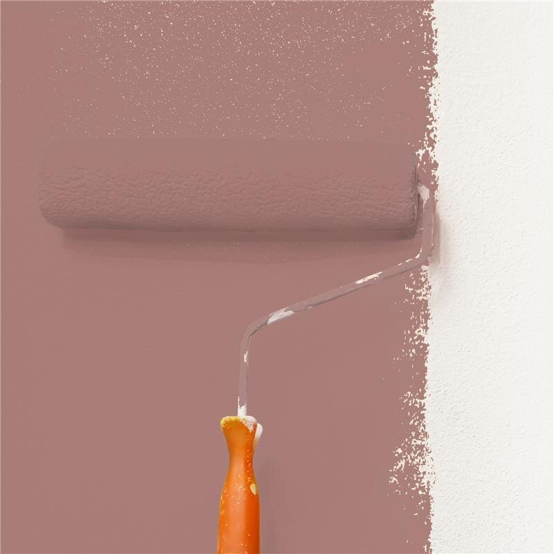Wandfarbe Matt NCS-S-4020-Y90R Profi Qualität für Innen