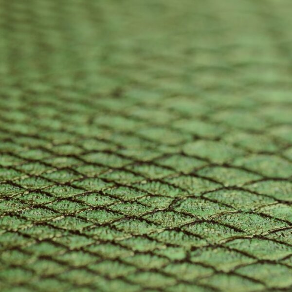 Tapete Grün Dieter Langer Vliestapete (58834)