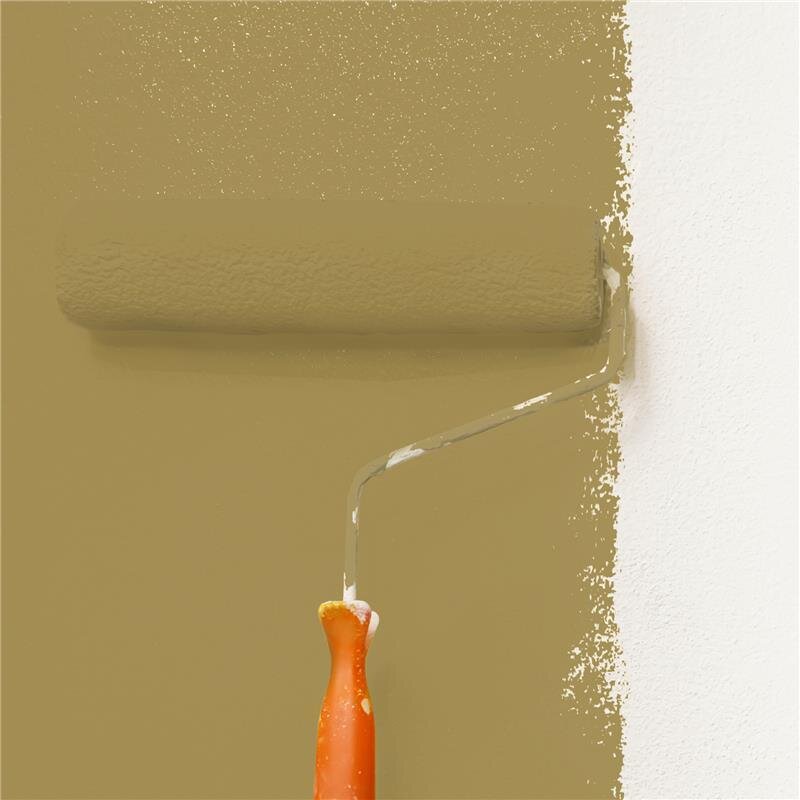 Wandfarbe Matt NCS-S-4030-Y Profi Qualität für Innen