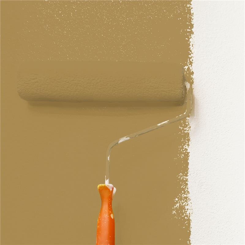 Wandfarbe Matt NCS-S-4030-Y10R Profi Qualität für Innen