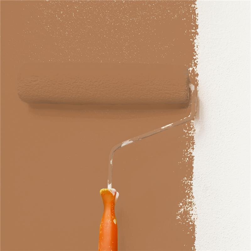 Wandfarbe Matt NCS-S-4030-Y40R Profi Qualität für Innen