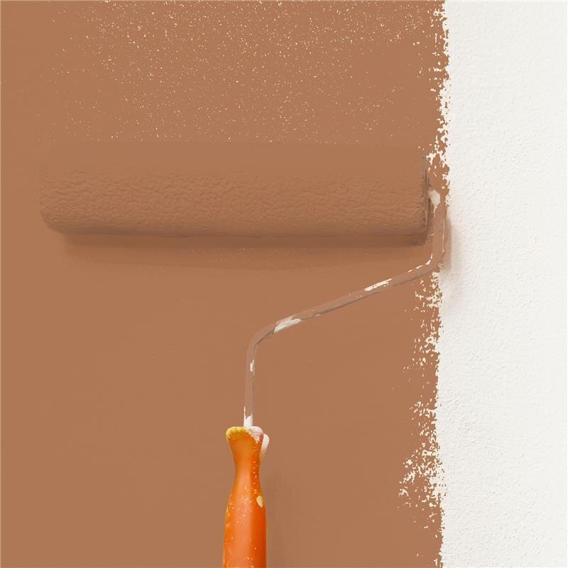 Wandfarbe Matt NCS-S-4030-Y50R Profi Qualität für Innen