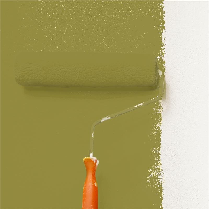 Wandfarbe Matt NCS-S-4040-G80Y Profi Qualität für Innen