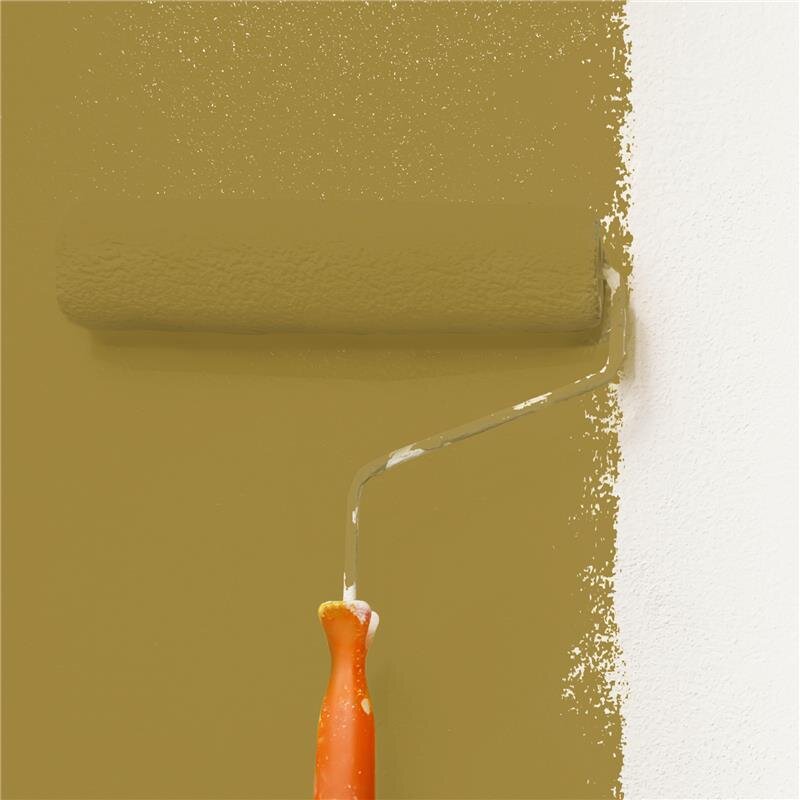 Wandfarbe Matt NCS-S-4040-Y Profi Qualität für Innen