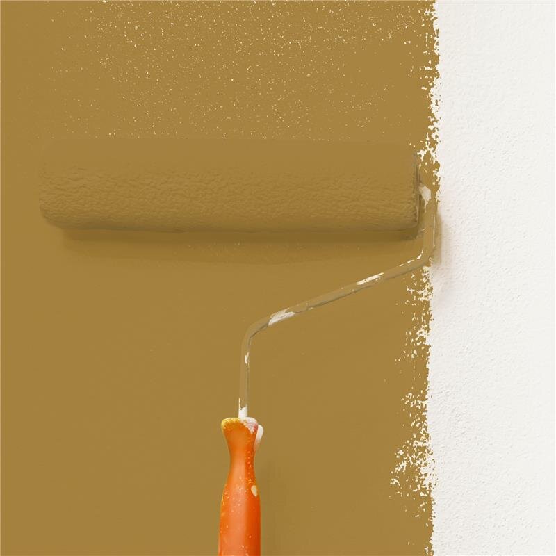 Wandfarbe Matt NCS-S-4040-Y10R Profi Qualität für Innen