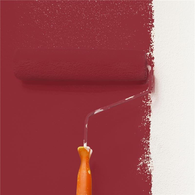 Wandfarbe Matt NCS-S-4050-R Profi Qualität für Innen