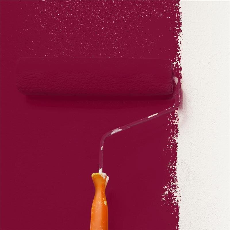 Wandfarbe Matt NCS-S-4050-R10B Profi Qualität für Innen