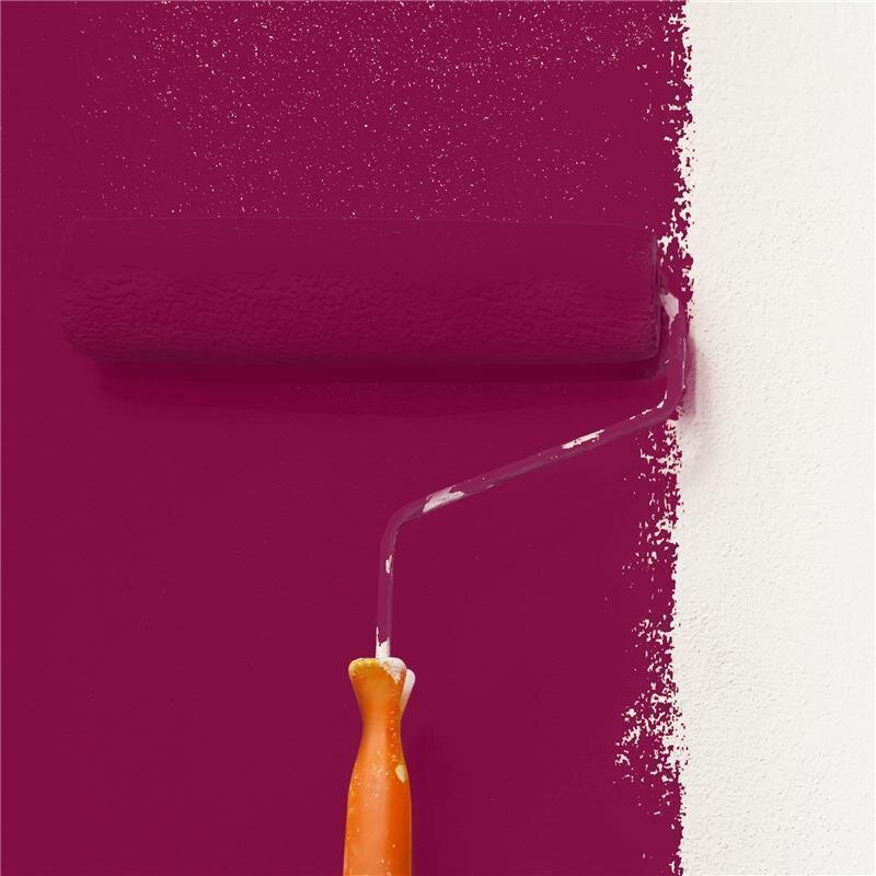 Wandfarbe Matt NCS-S-4050-R20B Profi Qualität für Innen