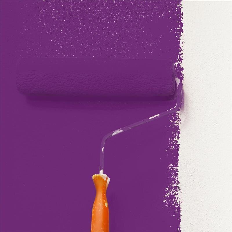 Wandfarbe Matt NCS-S-4050-R50B Profi Qualität für Innen