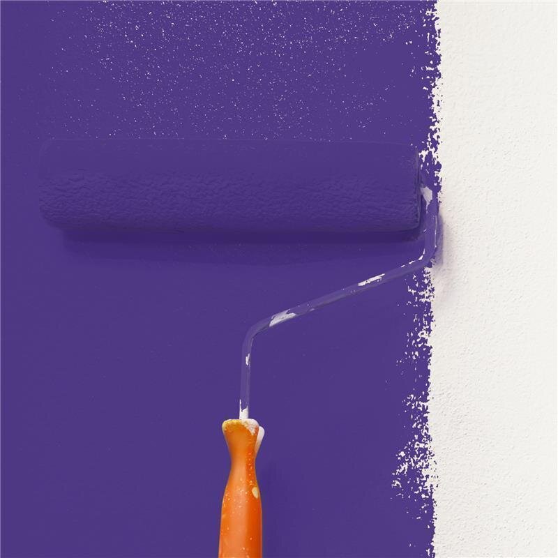 Wandfarbe Matt NCS-S-4050-R60B Profi Qualität für Innen