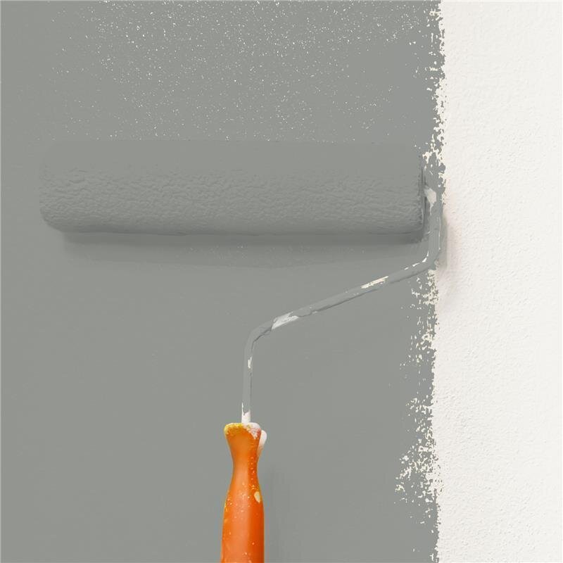 Wandfarbe Matt NCS-S-4502-G50Y Profi Qualität für Innen