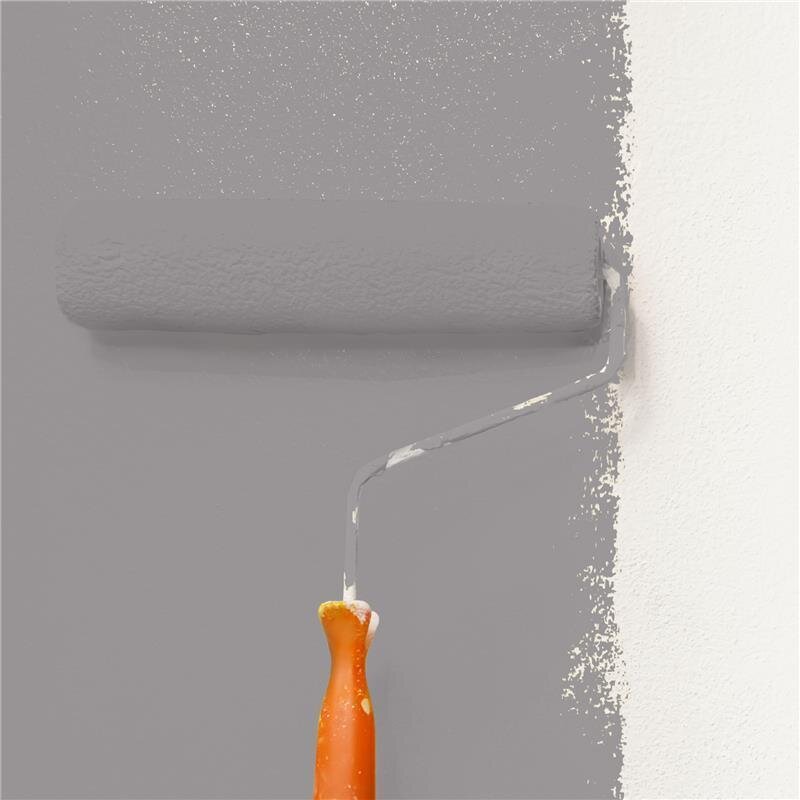 Wandfarbe Matt NCS-S-4502-R Profi Qualität für Innen