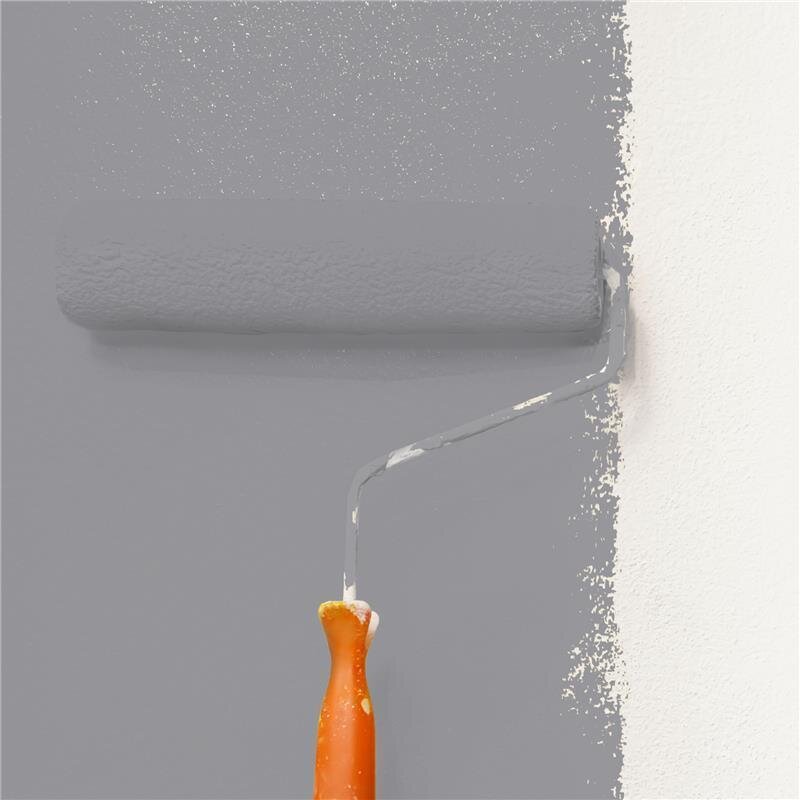 Wandfarbe Matt NCS-S-4502-R50B Profi Qualität für Innen