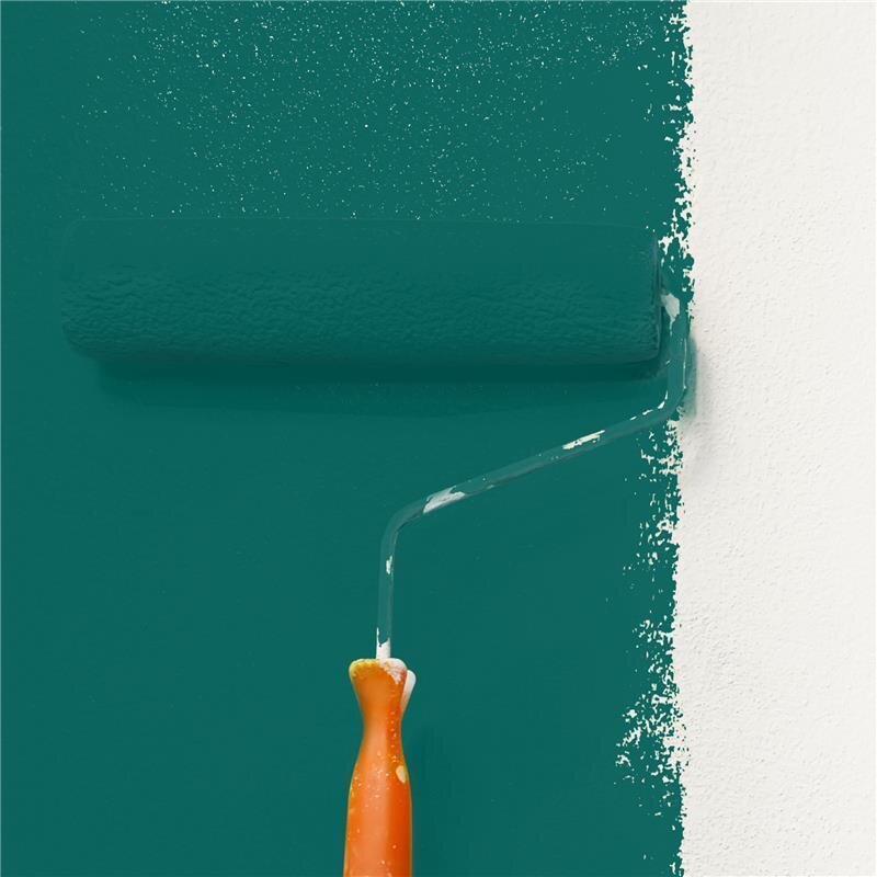 Wandfarbe Matt NCS-S-4550-B50G Profi Qualität für Innen