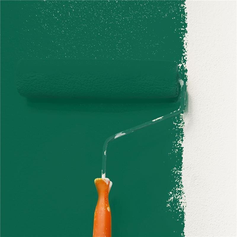Wandfarbe Matt NCS-S-4550-B90G Profi Qualität für Innen