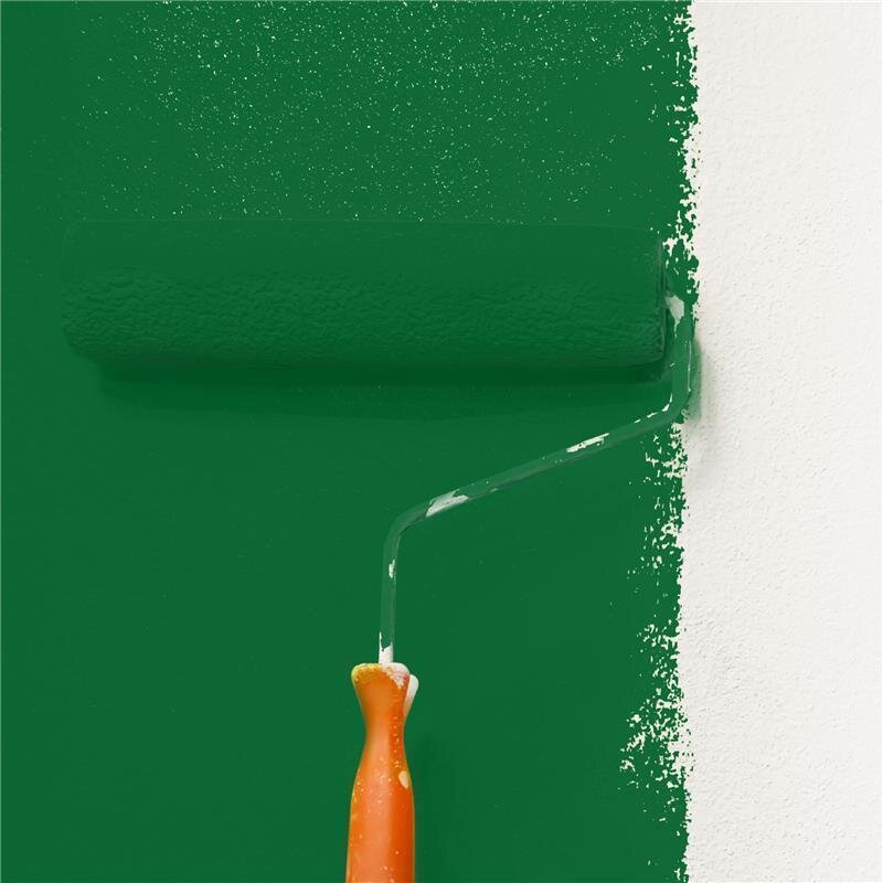 Wandfarbe Matt NCS-S-4550-G10Y Profi Qualität für Innen