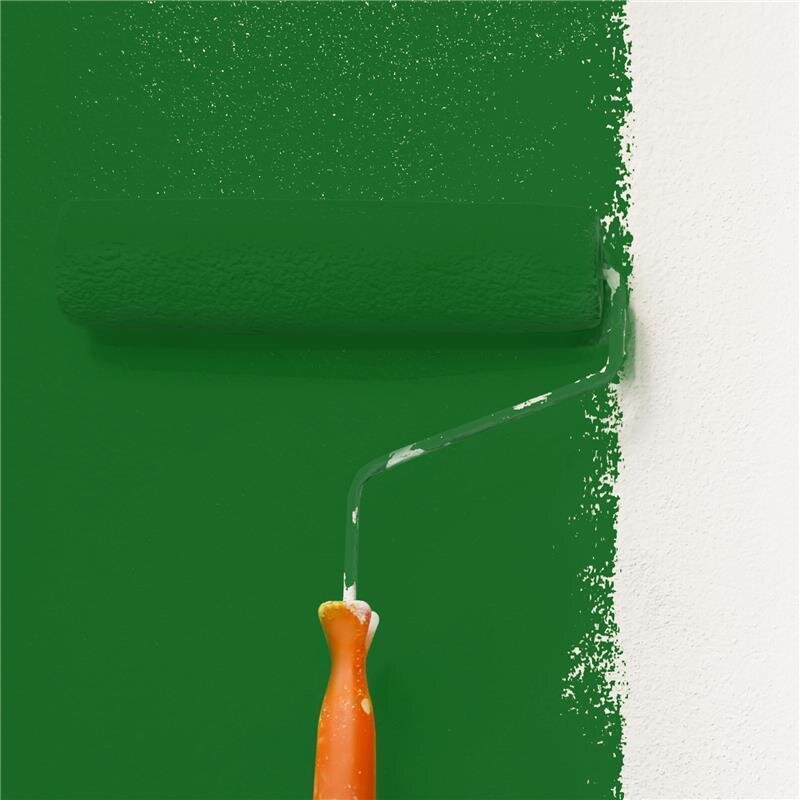 Wandfarbe Matt NCS-S-4550-G20Y Profi Qualität für Innen