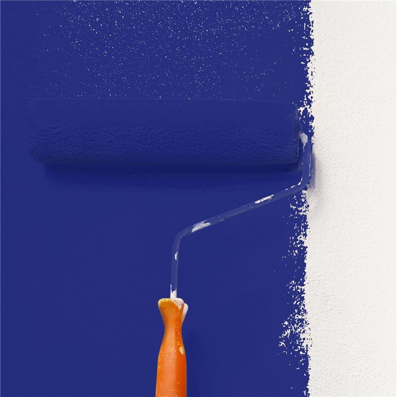 Wandfarbe Matt NCS-S-4550-R70B Profi Qualität für Innen