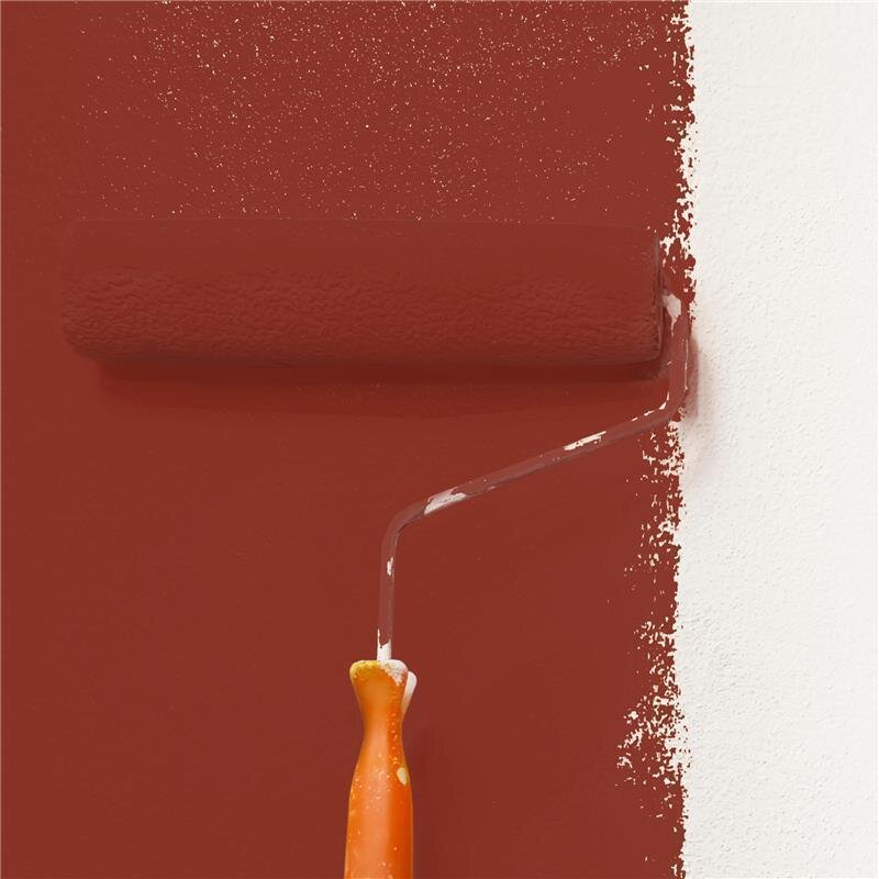 Wandfarbe Matt NCS-S-4550-Y80R Profi Qualität für Innen