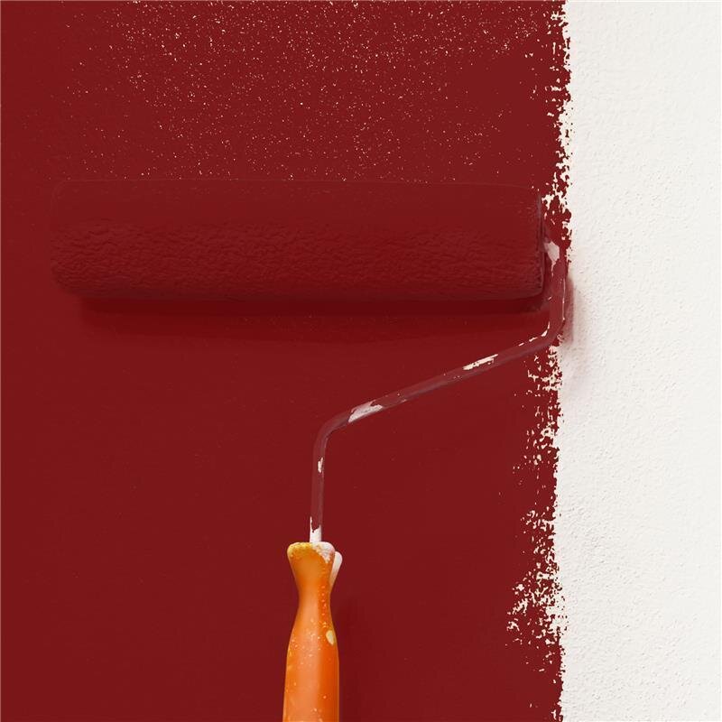 Wandfarbe Matt NCS-S-4550-Y90R Profi Qualität für Innen