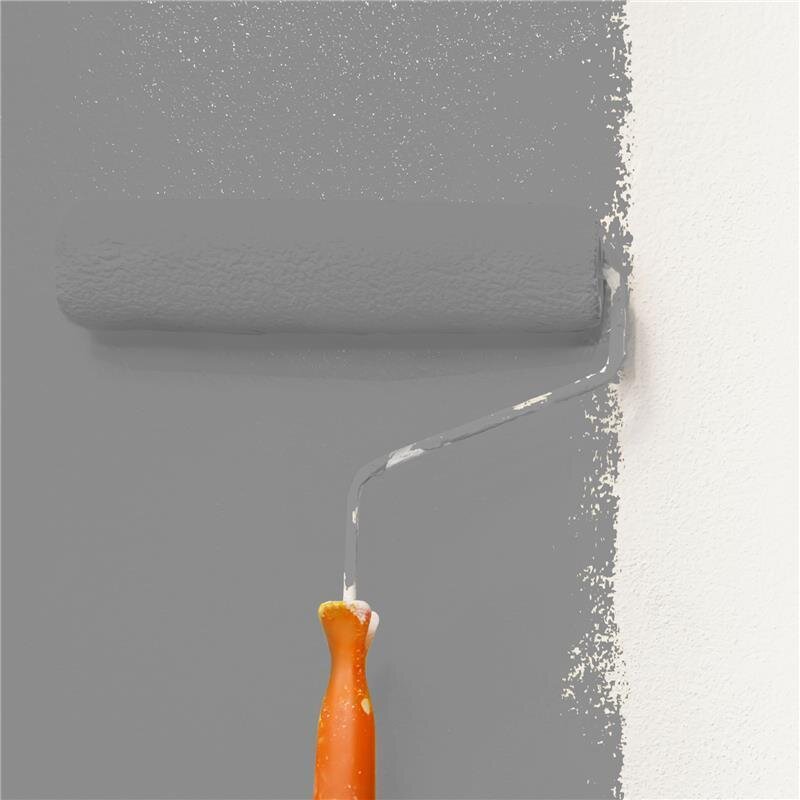 Wandfarbe Matt NCS-S-5000-N Profi Qualität für Innen