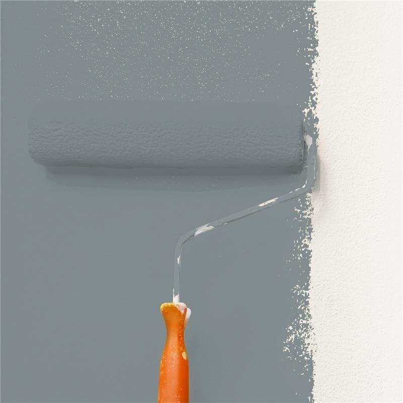 Wandfarbe Matt NCS-S-5005-B20G Profi Qualität für Innen