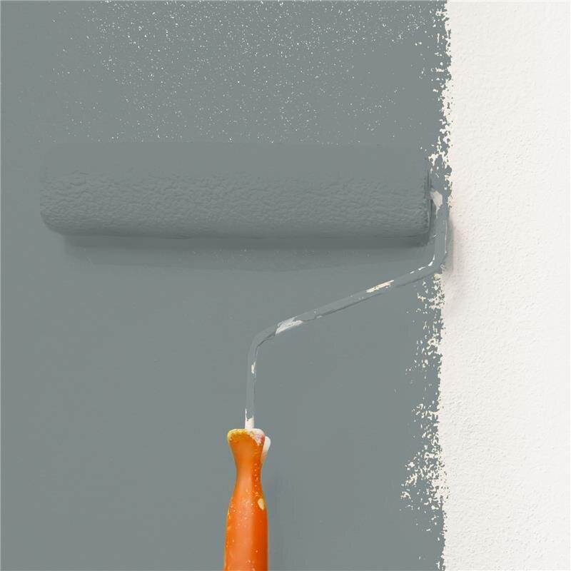 Wandfarbe Matt NCS-S-5005-B50G Profi Qualität für Innen