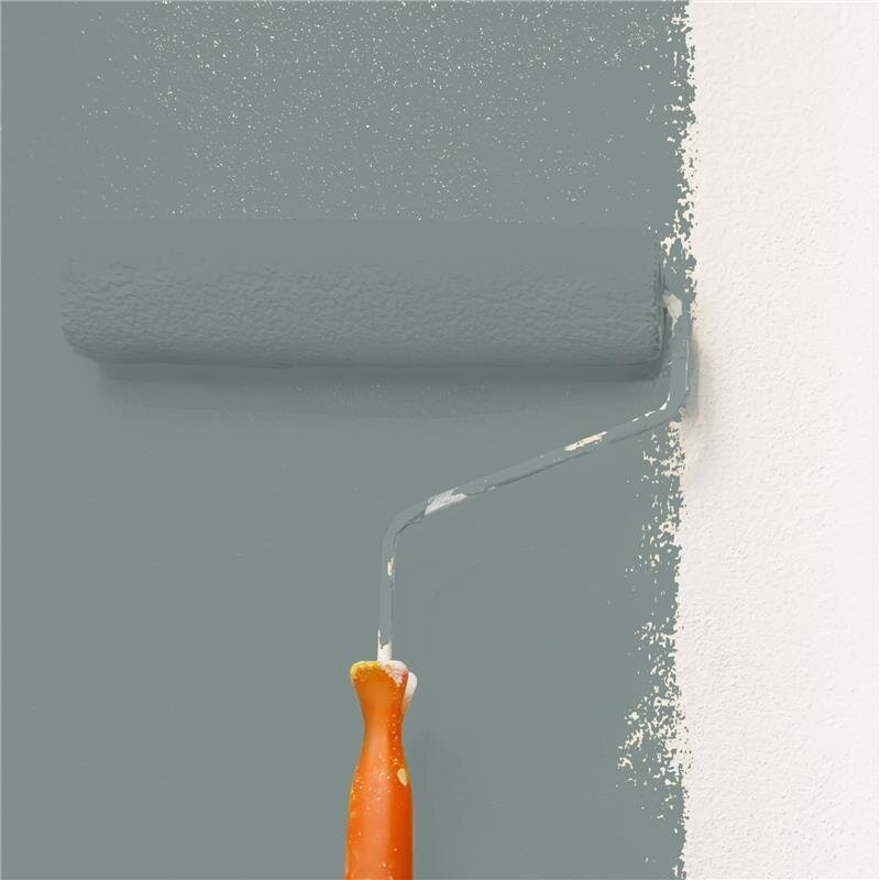 Wandfarbe Matt NCS-S-5005-B80G Profi Qualität für Innen