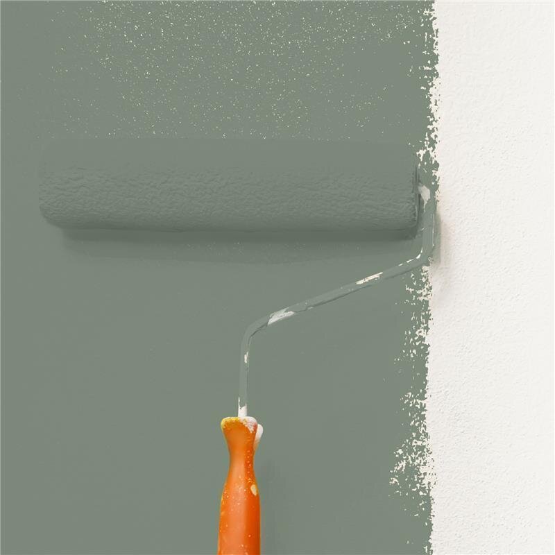 Wandfarbe Matt NCS-S-5010-G30Y Profi Qualität für Innen